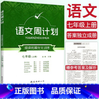 语文 七年级上 [正版]周计划初中语文阅读拓展优化训练七年级上册语文周计划 初中基础知识手册大全通用版基础知识训练 初一