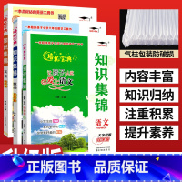 [正版]培优宝典小学知识集锦全国通用全套3本 小学知识集锦语文数学英语 四五六年级小学语文重点知识集锦 小升初基础知识