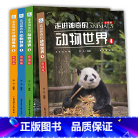 走进神奇的动物世界全套4册 [正版]走进神奇的动物世界彩图儿童动物百科全书小学版二三年级课外书书6-12岁儿童书籍动