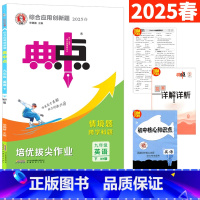 英语 外研版 九年级下 [正版]外研版 2025春典中点九年级下册英语WY版 初三9年级英语同步练习册辅导书 荣德基综合