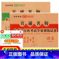 [2本]语文+数学 小学升初中 [正版]2025年小升初试卷语文数学直通名校小升初分班考试全效训练试卷名校联盟自主招生历