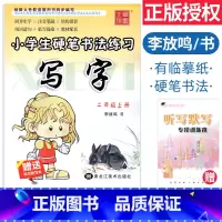 [正版]小学生硬笔书法练习写字二年级上册练字帖人教版RJ李放鸣书小学语文同步字帖二年级字帖天天练铅笔钢笔临描摹正楷书描