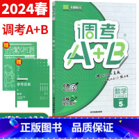 数学 北师版 五年级下 [正版]2024调考生云思路调考A+B五年级下册数学北师大版 小学调考a十b五年级下专题分类集训