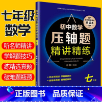 [正版]初中数学压轴题精讲精练七年级上下册数学同步知识专项训练练习题真题 全国通用 初中七年级初一数学知识大全解题技巧