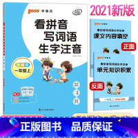 [正版]看拼音写词语生字注音一年级上册语文专项组合训练 汉字拼音声母韵母专项训练小学1年级语文同步字词句达标训练人教版