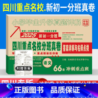 [正版]2024四川重点名校分班真卷语文2025新初一分班66套冲刺重点班小升初十大名校成都绵阳小学毕业升学考试试卷模