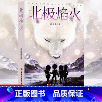 [正版]北极焰火 许诺晨著中国当代儿童文学 小学生3456年级 课外阅读中小学生青少年儿童读物 江苏凤凰教育出版
