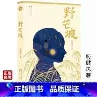 [正版]野芒坡 殷健灵著 人民文学出版社天天出版社 青少年课外阅读