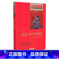 [正版]红色少年的故事 少年励志红色经典小学生革命传统教育读本 四五六年级故事书小学生课外阅读书籍中国当代儿童文学读物
