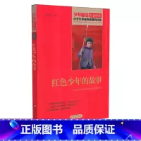 [正版]红色少年的故事 少年励志红色经典小学生革命传统教育读本 四五六年级故事书小学生课外阅读书籍中国当代儿童文学读物