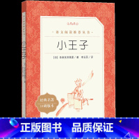[正版]小王子 圣埃克苏佩里原著 李玉民译 中小学生阅读外国文学经典名著口碑版本 寒暑假课外阅读书籍 经典童话故事 人