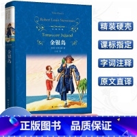 [正版]经典译林 金银岛 罗伯特·路易斯·史蒂文森著 学校阅读版本 好看的海盗小说 寻宝小说世界名著青少年阅读译林出