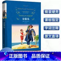 [正版]经典译林 金银岛 罗伯特·路易斯·史蒂文森著 学校阅读版本 好看的海盗小说 寻宝小说世界名著青少年阅读译林出