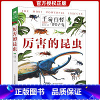 [正版]千奇百怪的昆虫 厉害的昆虫 精装版昆虫百科翻翻书 翻阅生命奥秘王轶美 葛智星编著长江少年儿童出版社