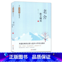[正版]老舍散文精选当代名家散文经典书中国现当代文学散文集随笔名家名作小学生四五六年级初中生语文课外阅读书籍北京教育出