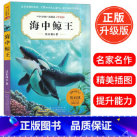 [正版]海中鲸王(升级版) 中外动物小说精品初中三四五六年级小学生课外必读书籍10-12-15岁少儿童阅读物图书狼王梦
