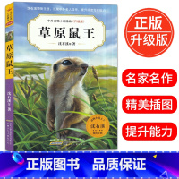 [正版]草原鼠王(升级版) 中外动物小说精品初中三四五六年级小学生课外必读书籍10-12-15岁少儿童阅读物图书狼王梦