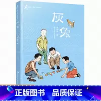 [正版]黄蓓佳童眸美绘书系灰兔 黄蓓佳倾情小说儿童长篇小说6-14儿童课外阅读书籍关注当下乡村孩子的生活话题新颖角度别