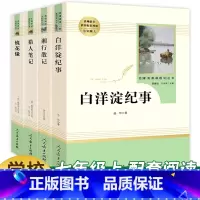 选读全套四本]猎人笔记 湘行散记 白洋淀纪事 镜花缘 [正版]朝花夕拾西游记全3本 原著青少年版七年级上册 人教版初中生
