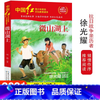 [正版]中国红青少年革命文化教育读本 微山湖上 红色经典阅读丛书关于儿童爱国的故事书 课外书阅读三四五六年级读物
