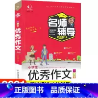 [正版]好词好句好段起步阅读素材辅导大全