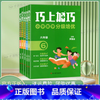 巧上加巧小学数学分级培优 小学二年级 [正版]2024新版小学二三四五六年级数学同步培优书籍 巧上加巧 小学数学分级培优