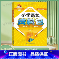 小学语文资料包 [正版]2024小考专家小学语文资料包通用版第五次修订小学生语文一二三四五六年级知识大全训练辅导总复习小
