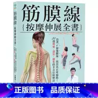 [正版]在途 筋膜线按摩伸展全书沿着6条筋膜线 找出真正疼痛点! 原版进口书 医疗保健 采实文化