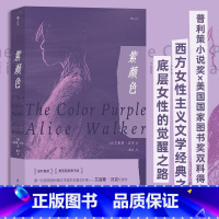 紫颜色 [正版]紫颜色 艾丽斯·沃克代表作 首位获得普利策小说奖的非裔女作家 普利策小说奖×美国 外国小说书籍 图