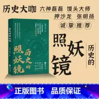标准 [正版]历史的照妖镜 烟雨 萧十一著 以岳飞之死为镜像 多维度剖析权力游戏与人性大戏 历史知识读物六神磊磊馒头大