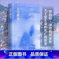 [正版]大雪将至 罗伯特·泽塔勒 打动西方人灵魂的作品 外国版活着布克国际奖四月书语赫尔曼黑塞悉达多托马斯曼