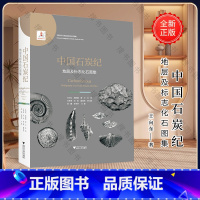 [正版]中国石炭纪地层及标志化石图集(精)/中国古生代地层及标志化石图集/王向东/胡科毅/黄兴/乔丽/王秋来/浙江大学