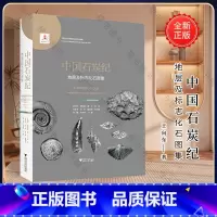 [正版]中国石炭纪地层及标志化石图集(精)/中国古生代地层及标志化石图集/王向东/胡科毅/黄兴/乔丽/王秋来/浙江大学