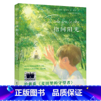 指间阳光 [正版]指间阳光 五年级阅读课外书 非必读老师儿童文学寒假阅读三四六年级小学生阅读课外书阅读经典书目
