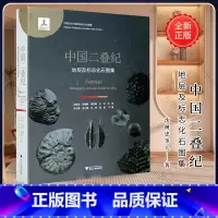 [正版]中国二叠纪地层及标志化石图集(精)/中国古生代地层及标志化石图集/沈树忠/徐海鹏/袁东勋/王玥/王军/浙江大学