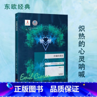 着魔的指南 [正版]着魔的指南 蓝色东欧第5辑 埃米尔·齐奥朗 随笔 反思西方文明与宗教的心灵呐喊