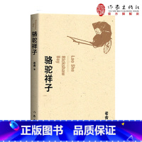 [正版]骆驼祥子 老舍经典小说代表作 七年级下册阅读初中生的课外书青少名著 世界名著 精编细注无障碍阅读