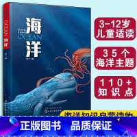 藏在书架里的百科知识--海洋 [正版]藏在书架里的百科知识 海洋 3-6-9-12岁幼儿童小学生青少年海洋知识启蒙科普读