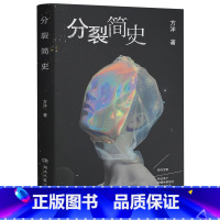 [正版]分裂简史 方洋根据亲身经历写一部荒诞而真实精神病患者手记带你感受这个世界细思极恐的一面 小说书籍