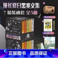 漫长夏日黑塞文集精装函套5册 [正版]漫长夏日黑塞文集精装函套5册 悉达多/克林格梭尔的后夏天/黑塞童话集/荒原狼/纳齐