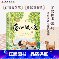 爱的川流不息 [正版]爱的川流不息 张炜的书 矛盾文学奖橘颂作者送给每位读者的爱的礼物青少年亲情成长小说儿童文学读物小学