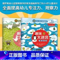趣味大迷宫全2册 [正版]趣味大迷宫全2册儿童经典趣味情景大迷宫:俄罗斯幼儿益智书作家及插画师专门为3-6岁提高儿童专注