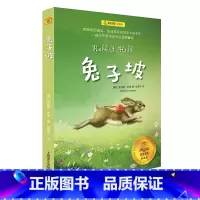 单本全册 [正版]兔子坡 夏洛书屋 儿童文学 图书 3-6岁 儿童读物 上海译文出版社 出版
