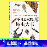 不可思议的昆虫大书 [正版]浪花朵朵浪花朵朵 不可思议的昆虫大书 8岁以上超精细手绘图达尔文生物科学观察自然科普书籍