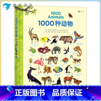 标准 [正版]浪花朵朵童书 1000种动物英语单词 3-10岁儿童英语 认知绘本书籍幼儿英语启蒙认知书