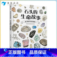 石头的生命故事 [正版]浪花朵朵 盛口满的手绘自然图鉴:石头的生命故事 7-10岁 石头地质 日本童书研究会 科普百科绘
