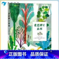 走过那片森林 [正版]浪花朵朵走过那片森林 6岁以上 立体纸雕绘本书 童书 三位艺术家联手打造 拓展纸质书无限可能