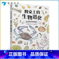 标准 [正版]浪花朵朵童书 餐桌上的生物进化 博物学家盛口满作品 培养孩子的观察思考能力 科普生物图鉴书籍