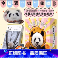 [正版]2025年熊猫日历治愈熊猫大礼盒 赠毛茸茸熊猫头挎包+徽章 今日宜"吸"熊猫 每日一句躺平文学松弛感集结全国1