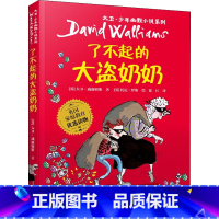 了不起的大盗奶奶 [正版]了不起的大盗奶奶